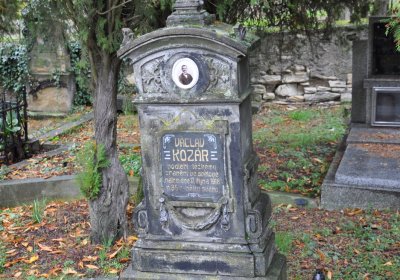 Vrbno nad Lesy, Omnium, 2020