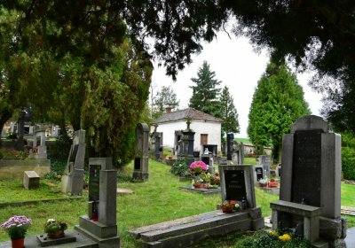 Vrbno nad Lesy, Omnium, 2020