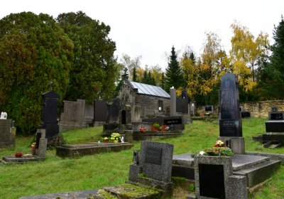 Vrbno nad Lesy, Omnium, 2020