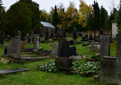 Vrbno nad Lesy, Omnium, 2020