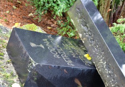 Vrbno nad Lesy, Omnium, 2020