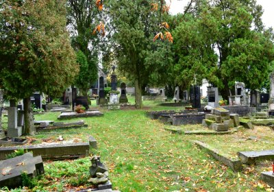 Vrbno nad Lesy, Omnium, 2020