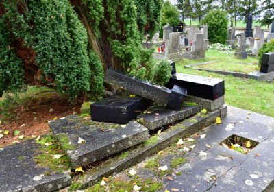 Vrbno nad Lesy, Omnium, 2020