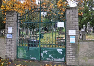 Vrbno nad Lesy, Omnium, 2020