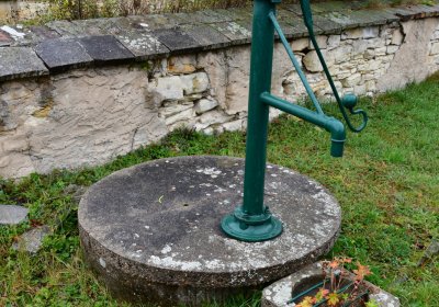 Vrbno nad Lesy, Omnium, 2020