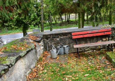 Vrbno nad Lesy, Omnium, 2020