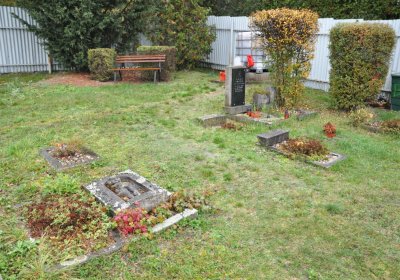 Vršovice 2, Omnium, 2020