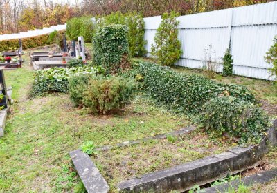 Vršovice 2, Omnium, 2020