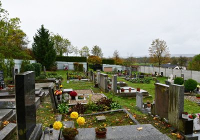 Vršovice 2, Omnium, 2020