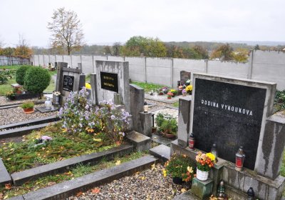 Vršovice 2, Omnium, 2020