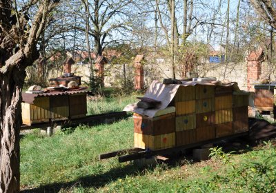 Zálužice, Omnium, 2020