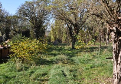 Zálužice, Omnium, 2020