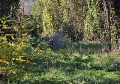 Zálužice, Omnium, 2020