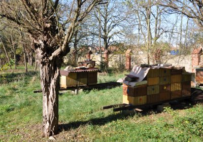 Zálužice, Omnium, 2020