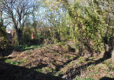 Zálužice, Omnium, 2020