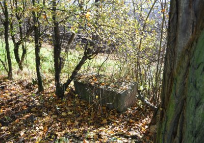 Zálužice, Omnium, 2020