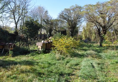 Zálužice, Omnium, 2020