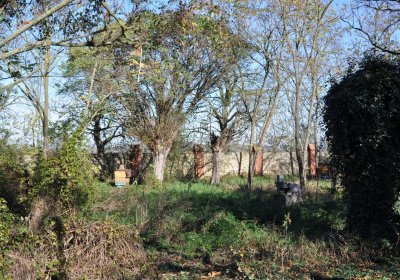 Zálužice, Omnium, 2020