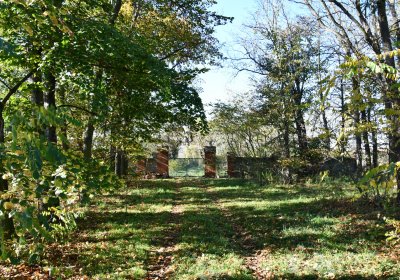 Zálužice, Omnium, 2020