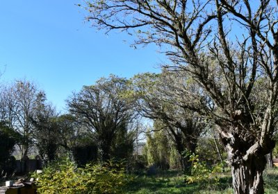 Zálužice, Omnium, 2020