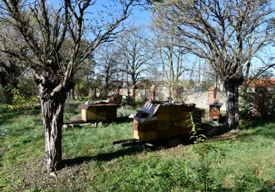 Zálužice, Omnium, 2020