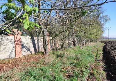 Zálužice, Omnium, 2020