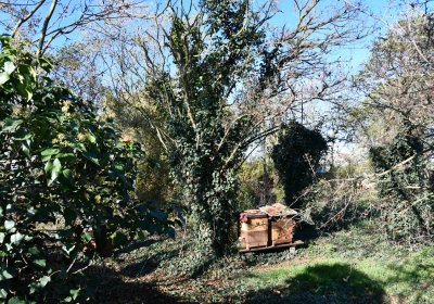 Zálužice, Omnium, 2020