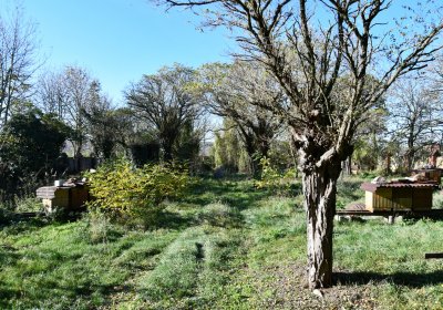 Zálužice, Omnium, 2020