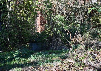 Zálužice, Omnium, 2020