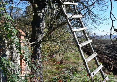 Zálužice, Omnium, 2020