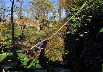 Zálužice, Omnium, 2020