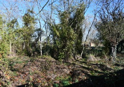 Zálužice, Omnium, 2020