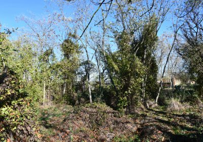 Zálužice, Omnium, 2020