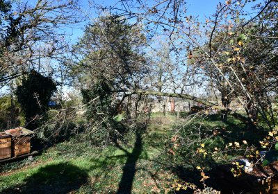 Zálužice, Omnium, 2020