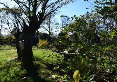 Zálužice, Omnium, 2020