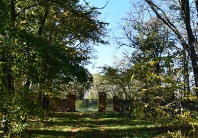 Zálužice, Omnium, 2020