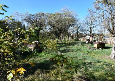 Zálužice, Omnium, 2020