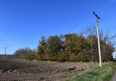 Zálužice, Omnium, 2020