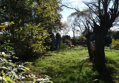 Zálužice, Omnium, 2020