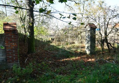 Zálužice, Omnium, 2020