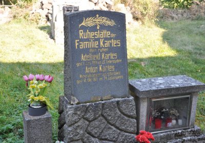 Želkovice, Omnium, 2020