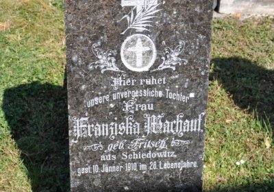 Želkovice, Omnium, 2020