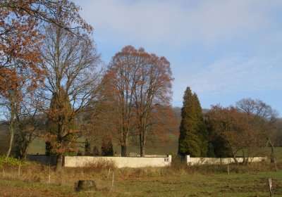 Kmínek Michal, 2020