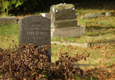 Kmínek Michal, 2020