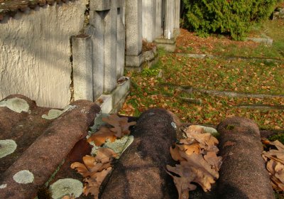 Kmínek Michal, 2020