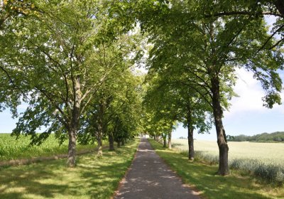 Libkovice pod Řípem, Omnium, 2020