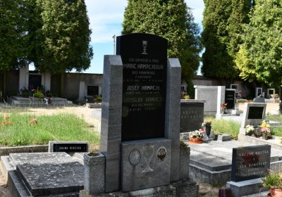 Libkovice pod Řípem, Omnium, 2020
