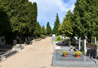 Libkovice pod Řípem, Omnium, 2020