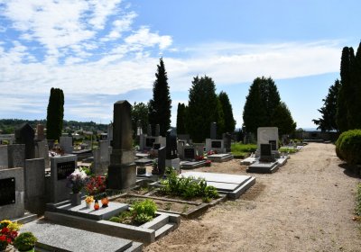 Libkovice pod Řípem, Omnium, 2020