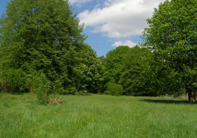 Kmínek Michal, 2020